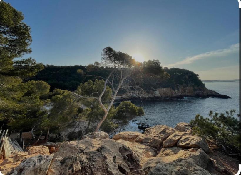 « L'Observatoire » 6 Personnes Bandol Exteriör bild